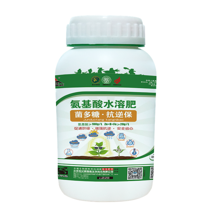 Resilience King-Kangnibao