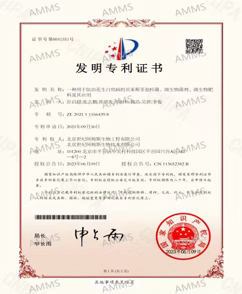 Patent certificate